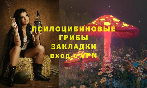 марки nbome Козельск