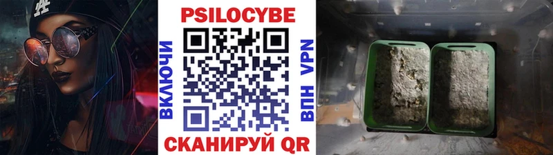 Купить  Среднеуральск  Псилоцибиновые грибы MAGIC MUSHROOMS 